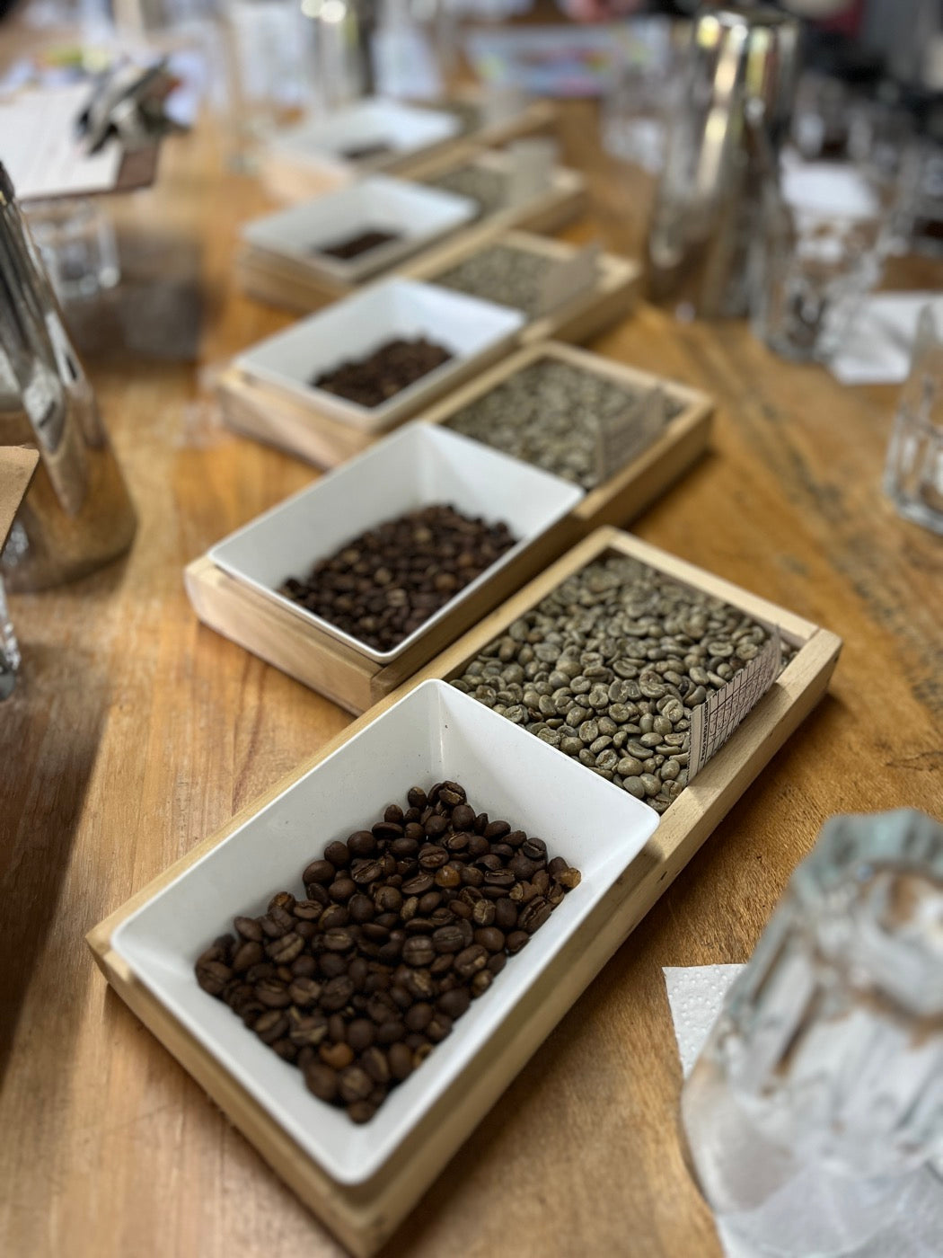 Trays of green and roasted coffee samples laid out on a cupping table