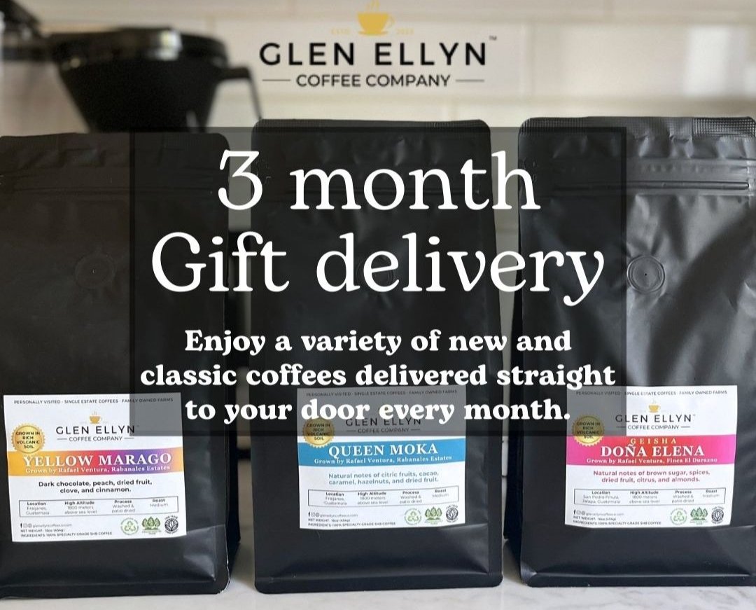 3 month Gift Delivery - Save 10%