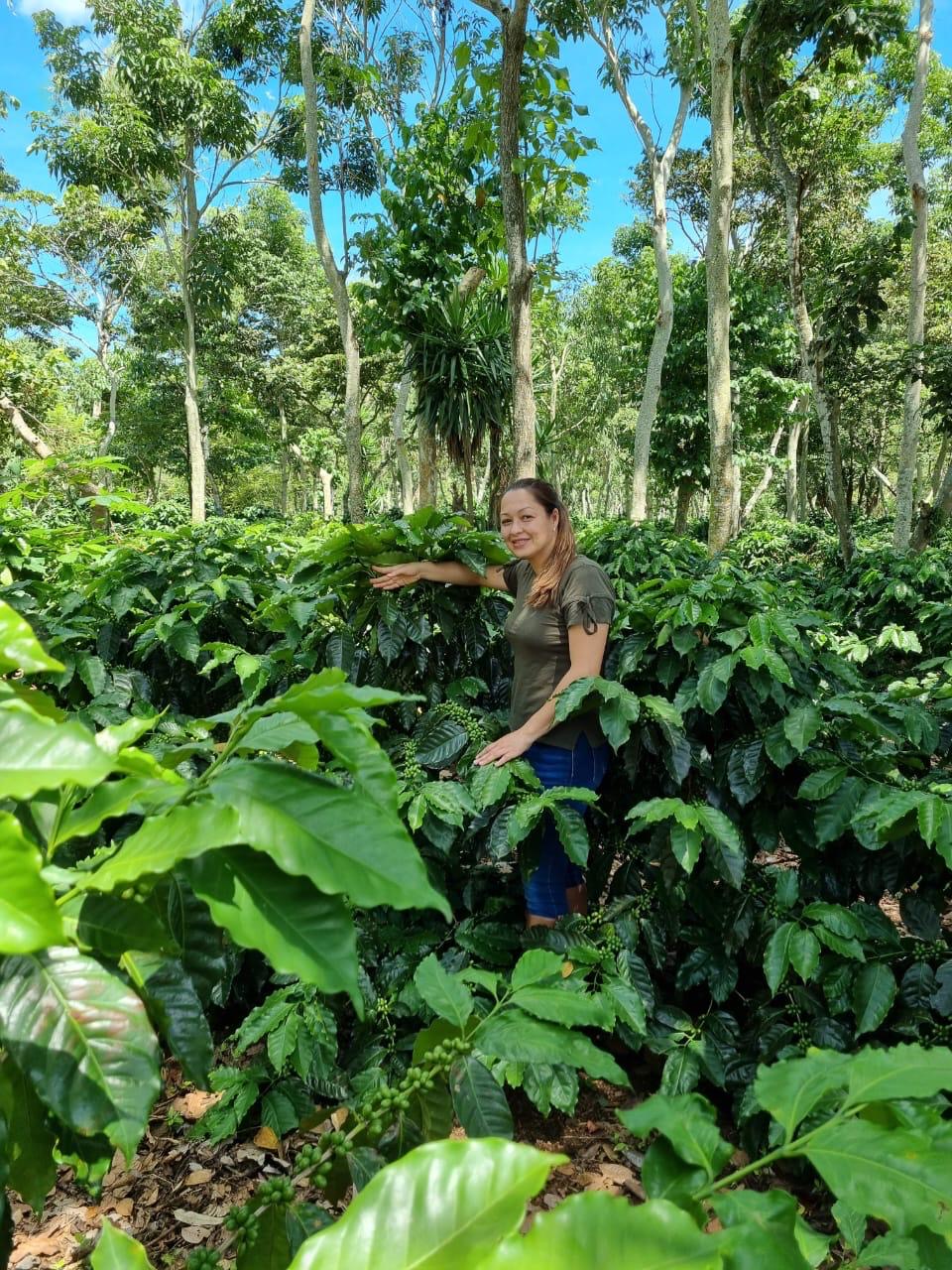 Aceituno Blend - Dark Roast(16oz)