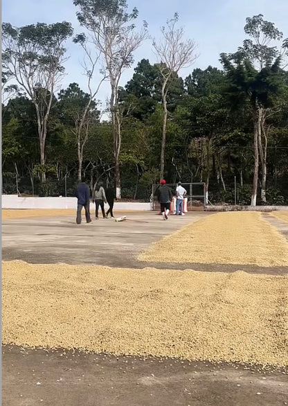 Aceituno Blend - Dark Roast(16oz)