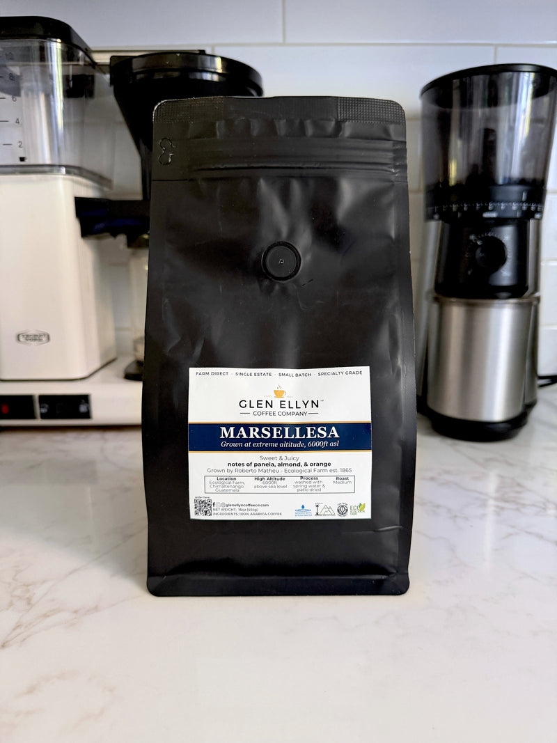 Marsellesa medium roast coffee, 16 oz bag