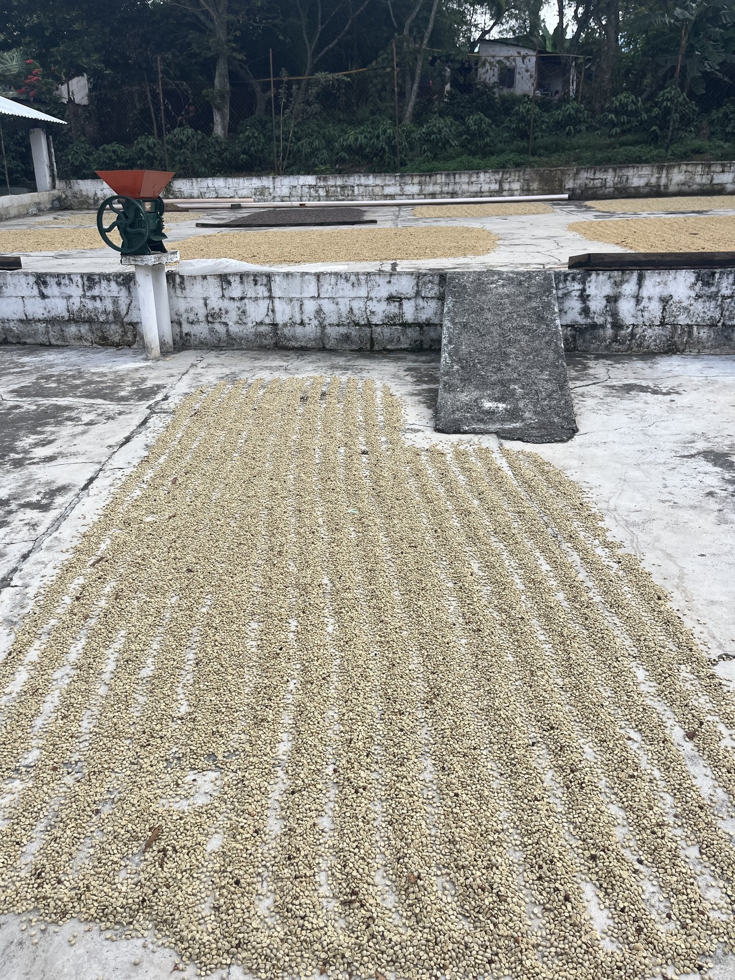 Terracotta drying patio